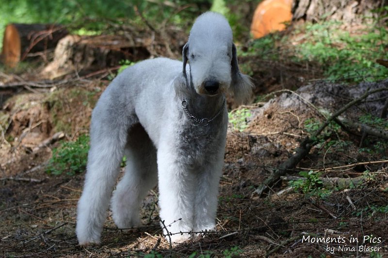 2010-05-29 Alanna und Svet (8).jpg - Arc-en-ciel Alanna 2010-05-29